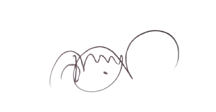 Md. Nasir Uddin Khan signature